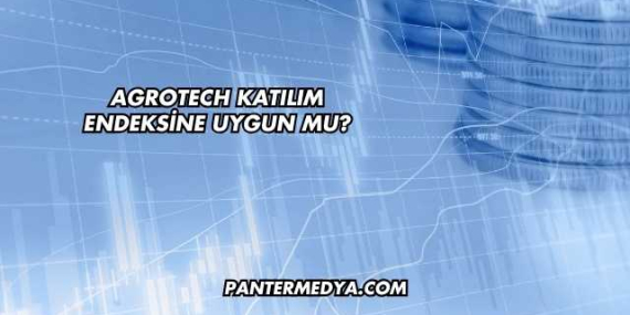Agrotech Katılım Endeksine Uygun mu?
