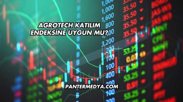 Agrotech Katılım Endeksine Uygun mu?