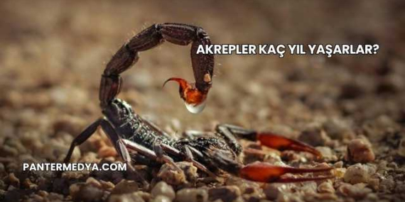 Akrepler Kaç Yıl Yaşarlar?