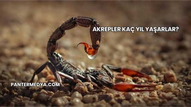 Akrepler Kaç Yıl Yaşarlar?