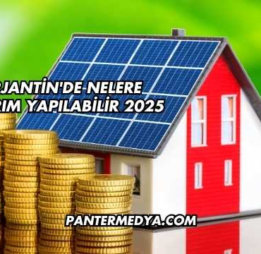 Arjantin'de Nelere Yatırım Yapılabilir 2025
