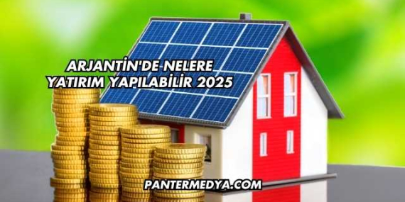 Arjantin’de Nelere Yatırım Yapılabilir 2025