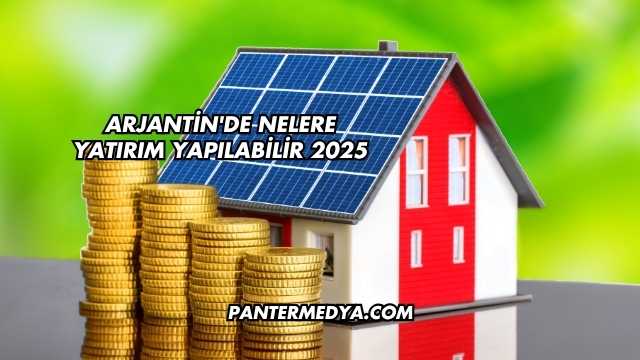 Arjantin'de Nelere Yatırım Yapılabilir 2025