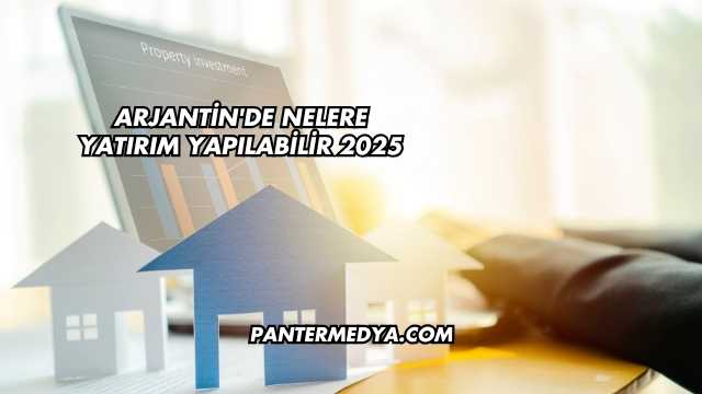 Arjantin'de Nelere Yatırım Yapılabilir 2025