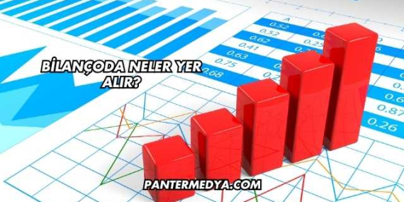 Bilançoda Neler Yer Alır?