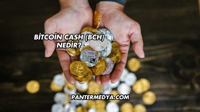 Bitcoin Cash (BCH) Nedir?