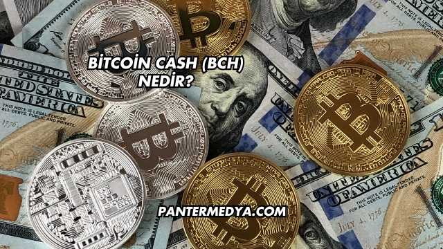 Bitcoin Cash (BCH) Nedir?