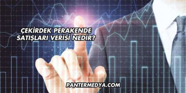 Çekirdek Perakende Satışları Verisi Nedir?