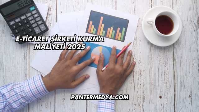 E-Ticaret Şirketi Kurma Maliyeti 2025