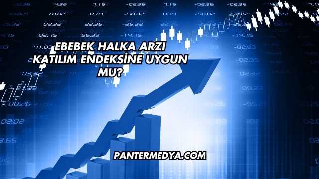 Ebebek Halka Arzı Katılım Endeksine Uygun mu?