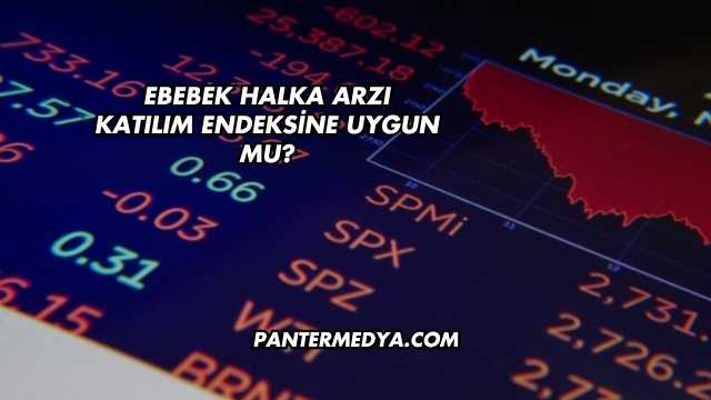Ebebek Halka Arzı Katılım Endeksine Uygun mu?