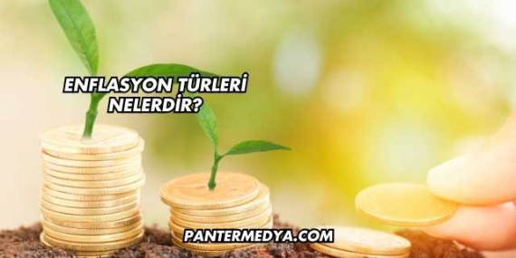 Enflasyon Türleri Nelerdir?