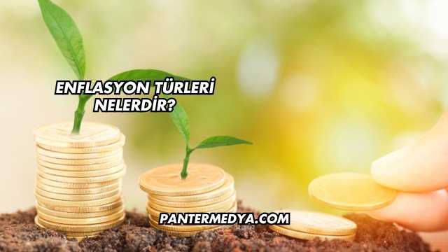 Enflasyon Türleri Nelerdir?