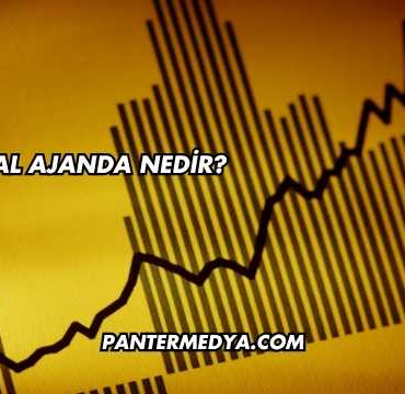 Finansal Ajanda Nedir?