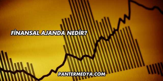 Finansal Ajanda Nedir?