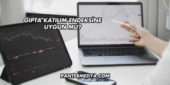 Gıpta Katılım Endeksine Uygun mu?