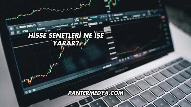 Hisse Senetleri Ne İşe Yarar?