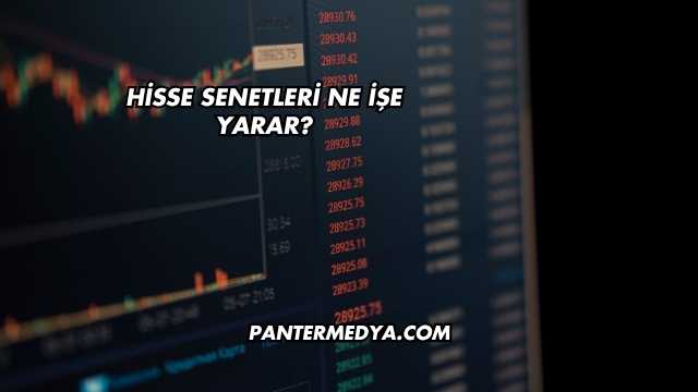 Hisse Senetleri Ne İşe Yarar?