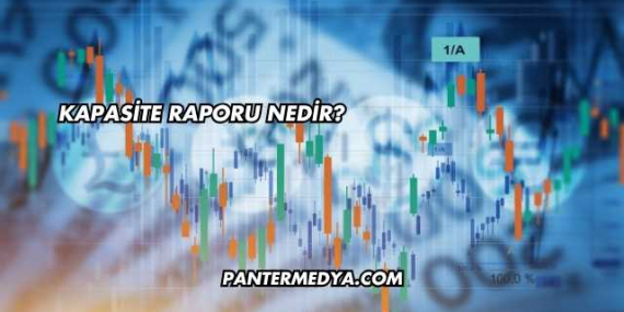 Kapasite Raporu Nedir?