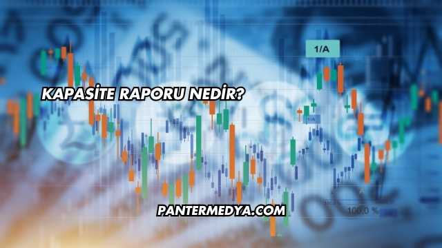 Kapasite Raporu Nedir?