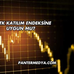MIATK Katılım Endeksine Uygun mu?