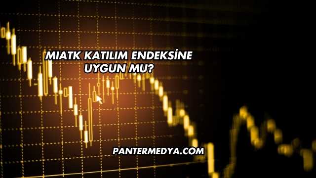 MIATK Katılım Endeksine Uygun mu?