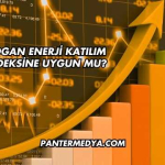 Mogan Enerji Katılım Endeksine Uygun mu?