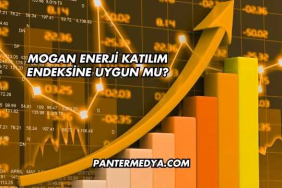 Mogan Enerji Katılım Endeksine Uygun mu?