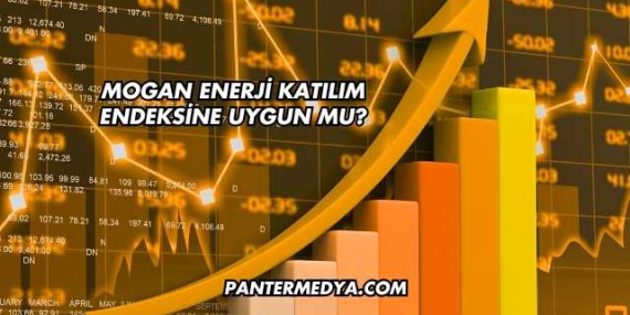 Mogan Enerji Katılım Endeksine Uygun mu?