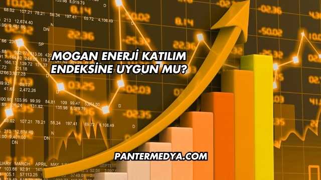 Mogan Enerji Katılım Endeksine Uygun mu?
