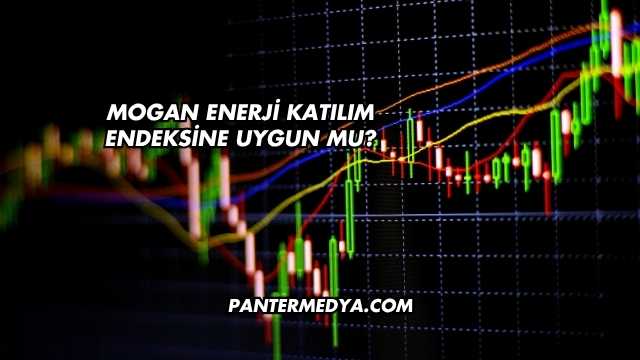 Mogan Enerji Katılım Endeksine Uygun mu?
