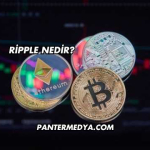 Ripple Nedir?