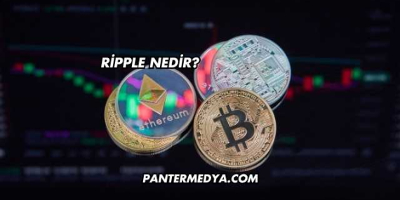 Ripple Nedir?