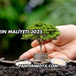 Satışların Maliyeti 2025