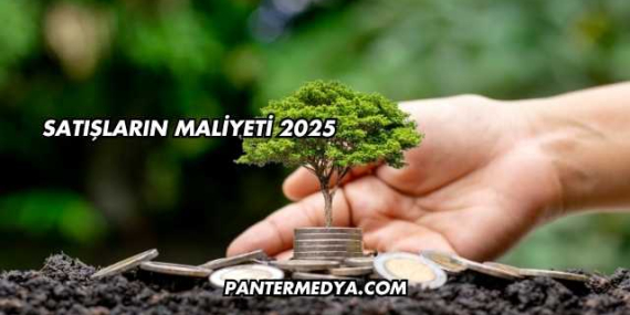 Satışların Maliyeti 2025