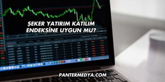 Şeker Yatırım Katılım Endeksine Uygun mu?