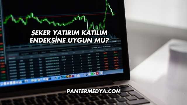 Şeker Yatırım Katılım Endeksine Uygun mu?