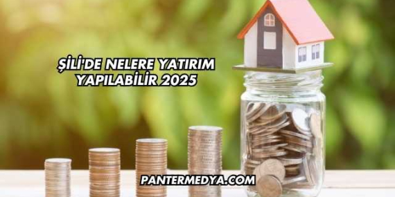 Şili’de Nelere Yatırım Yapılabilir 2025