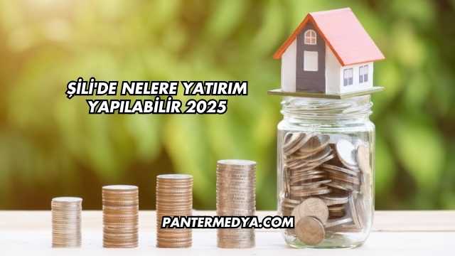Şili'de Nelere Yatırım Yapılabilir 2025