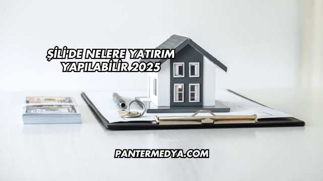 Şili'de Nelere Yatırım Yapılabilir 2025