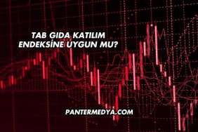 Tab Gıda Katılım Endeksine Uygun mu?