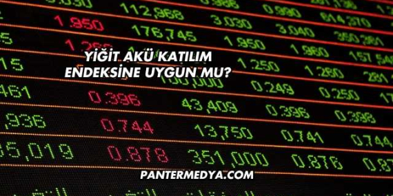 Yiğit Akü Katılım Endeksine Uygun mu?