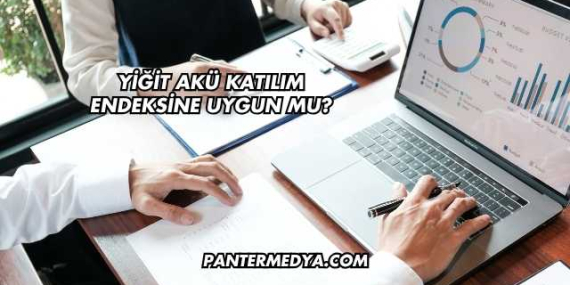 Yiğit Akü Katılım Endeksine Uygun mu?
