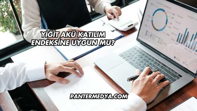 Yiğit Akü Katılım Endeksine Uygun mu?