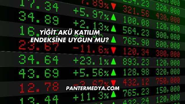 Yiğit Akü Katılım Endeksine Uygun mu?