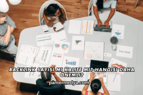 Backlink Sayısı mı Kalite mi? Hangisi Daha Önemli?