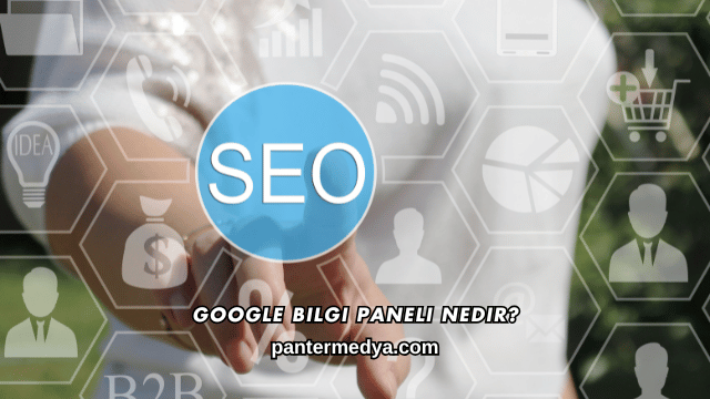 Google Bilgi Paneli Nedir?